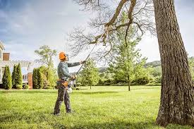 Best Hazardous Tree Removal  in Belville, NC