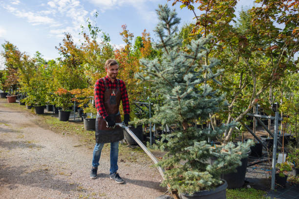 Lawn Watering Services in Belville, NC